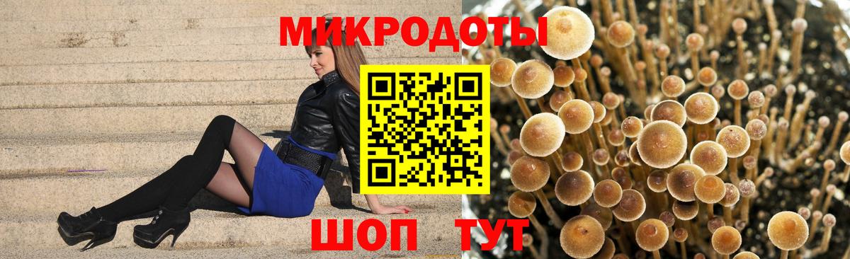 Нижнекамск  Псилоцибиновые грибы ЛСД  Вход с VPN  Псилоцибиновые грибы MAGIC MUSHROOMS 