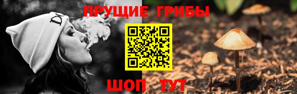 Галлюциногенные грибы GOLDEN TEACHER Нижнекамск